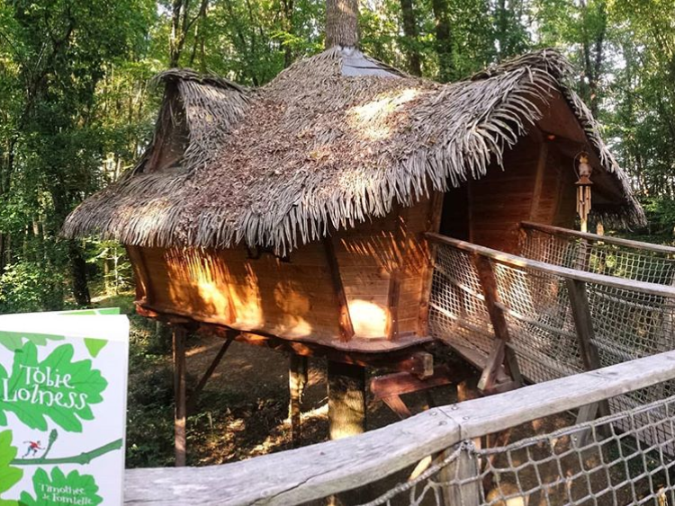 « Les aventures de Tobie Lolness », Timothée de Fombelle, couverture du livre, mangeurdelivres.wordpress.com