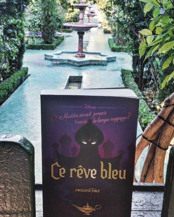 « Ce rêve bleu », Liz Braswell, couverture du livre, mangeurdelivres.wordpress.com