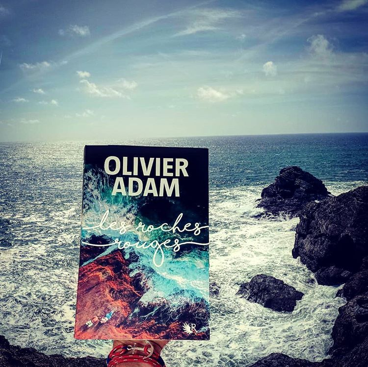 Les roches rouges, Olivier Adam, Mangeurdelivres.wordpress.com