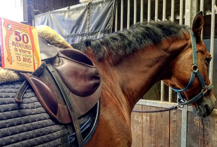 Les 50 aventures à vivre avant d'avoir 13 ans », Pierdomenico Baccalario et Tommaso Percivale, couverture du livre, mangeurdelivres.wordpress.com