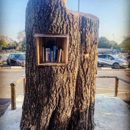 Boite à livres siuée dans le tronc d'un arbre dans le centre ville de Reims