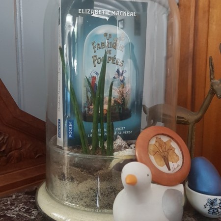 Photo du livre dans une cloche en verre comme celle qui figure sur la couverture, et entouré de différents bibelots